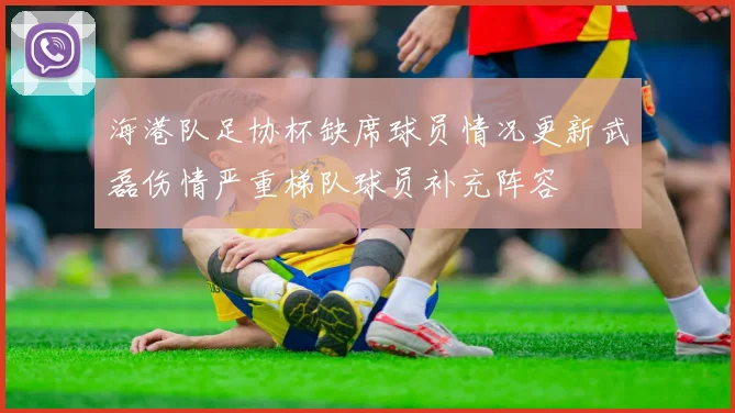 海港队足协杯缺席球员情况更新武磊伤情严重梯队球员补充阵容